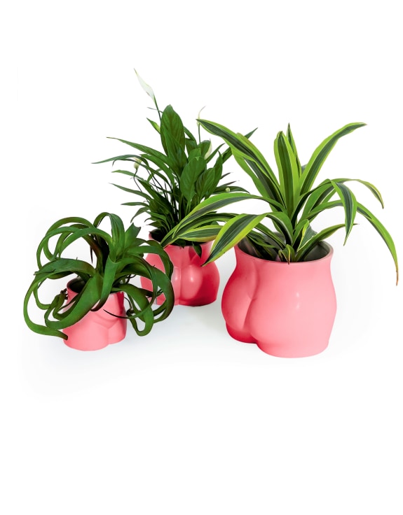Pink Small Booty Flower Pot/Storage Jar