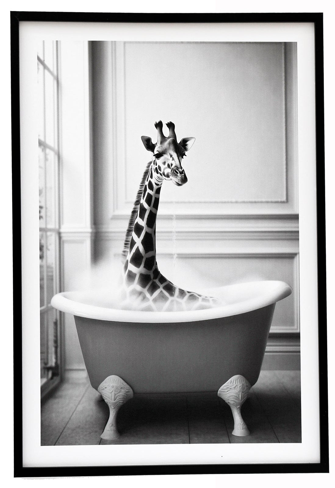 Giraffe in Bath Framed Canvas