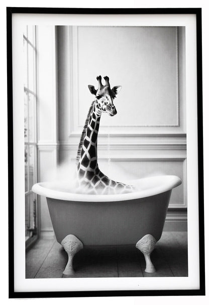 Giraffe in Bath Framed Canvas