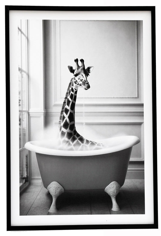 Giraffe in Bath Framed Canvas