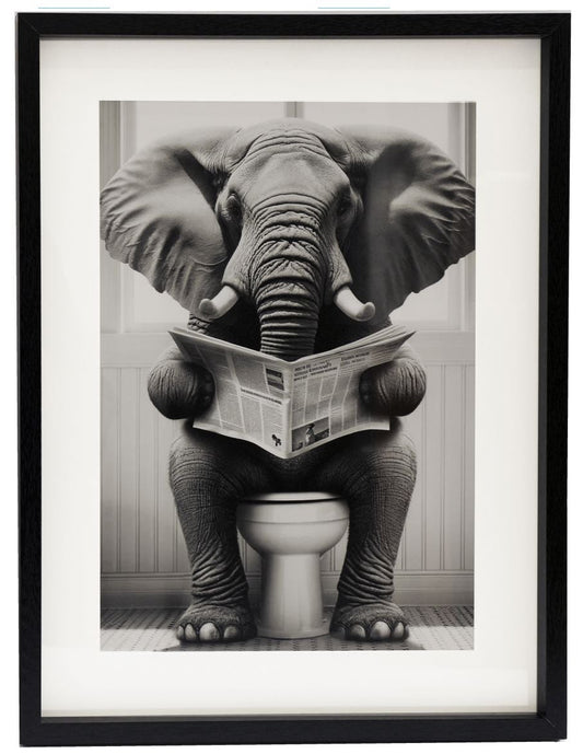 Elephant on Toilet Frame